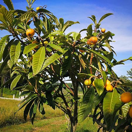 Masseria Le Querciole Fauglia Eksteriør bilde
