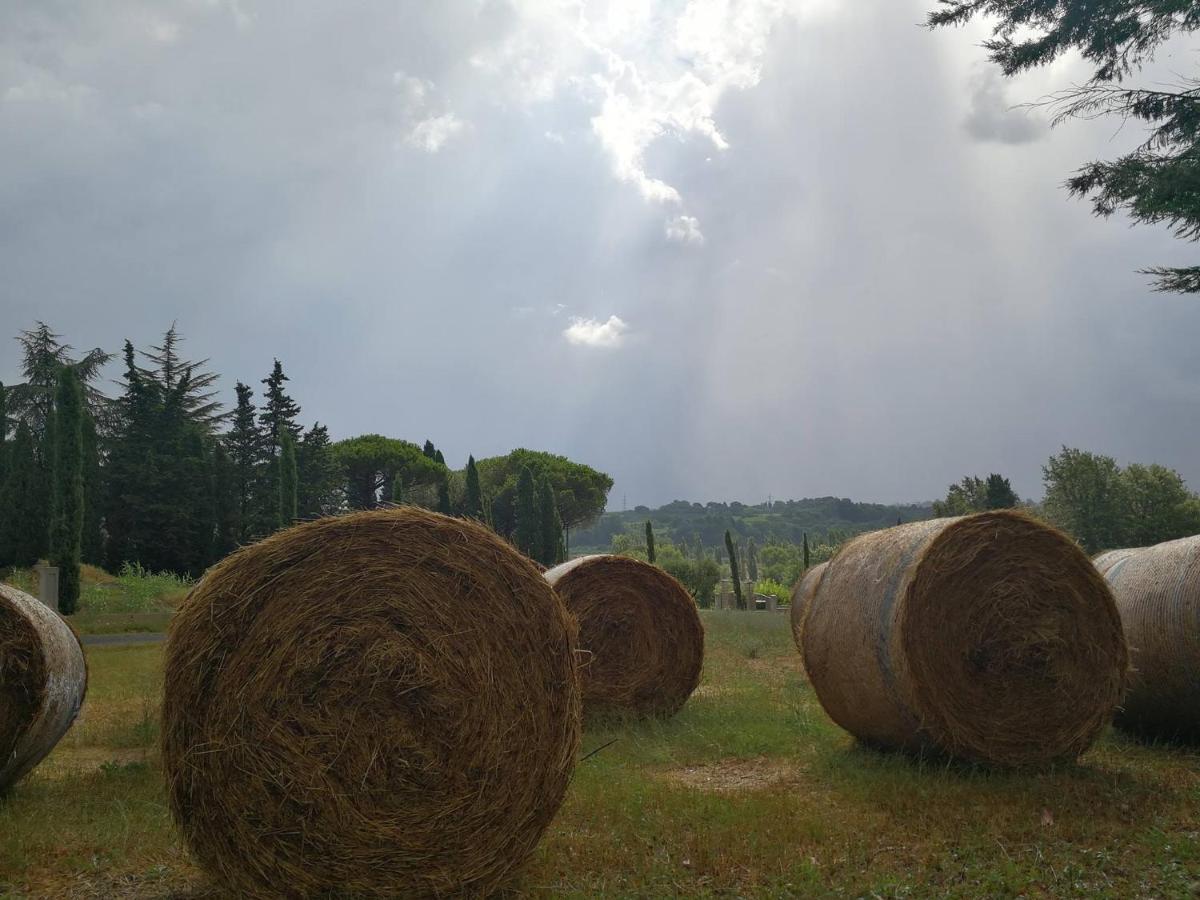 Masseria Le Querciole Fauglia Eksteriør bilde