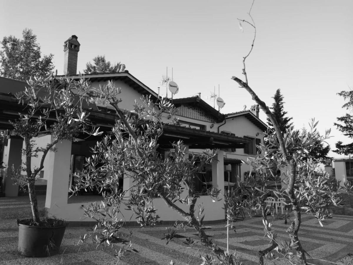 Masseria Le Querciole Fauglia Eksteriør bilde