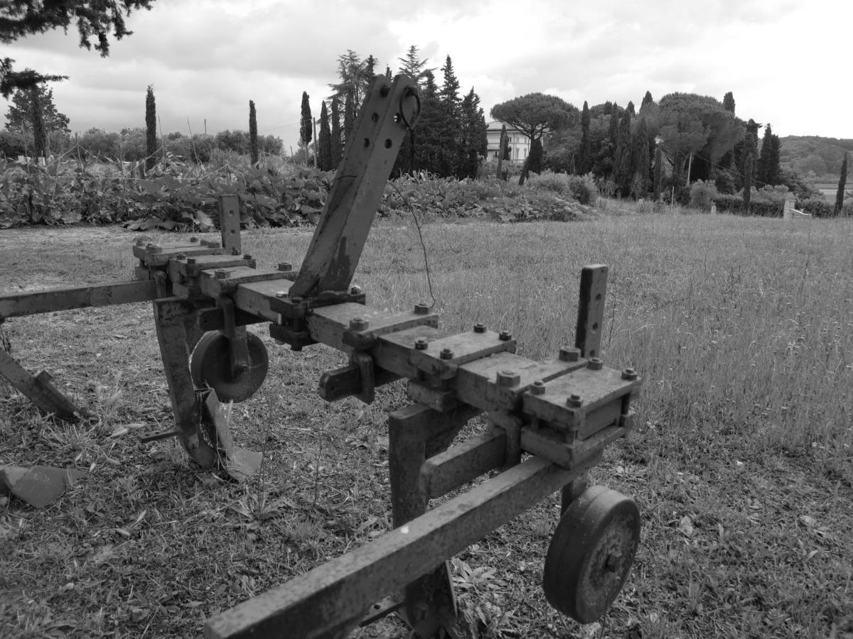 Masseria Le Querciole Fauglia Eksteriør bilde