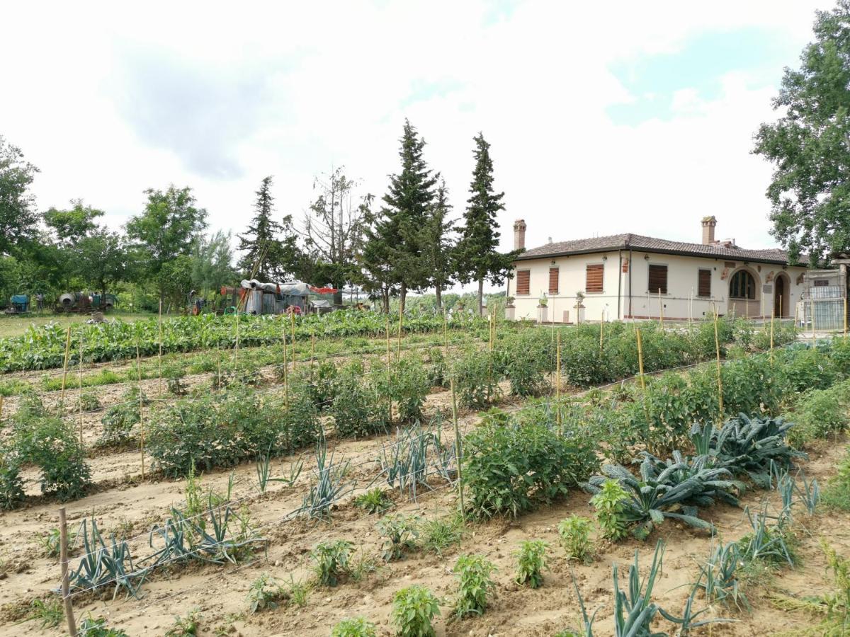 Masseria Le Querciole Fauglia Eksteriør bilde
