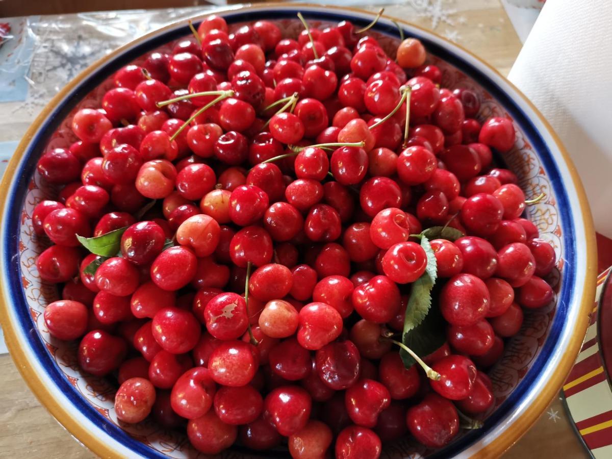 Masseria Le Querciole Fauglia Eksteriør bilde