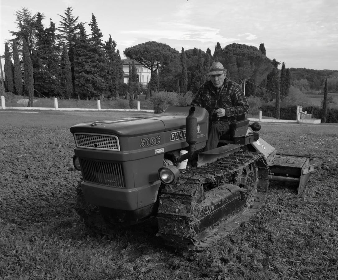 Masseria Le Querciole Fauglia Eksteriør bilde