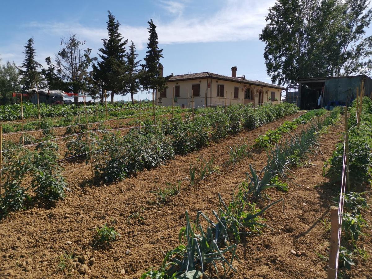 Masseria Le Querciole Fauglia Eksteriør bilde